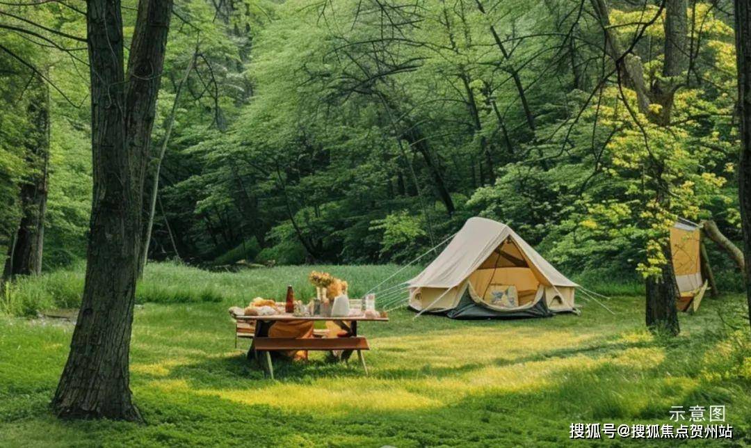 甲子房地产最新动态，与自然共融的心灵平静之旅