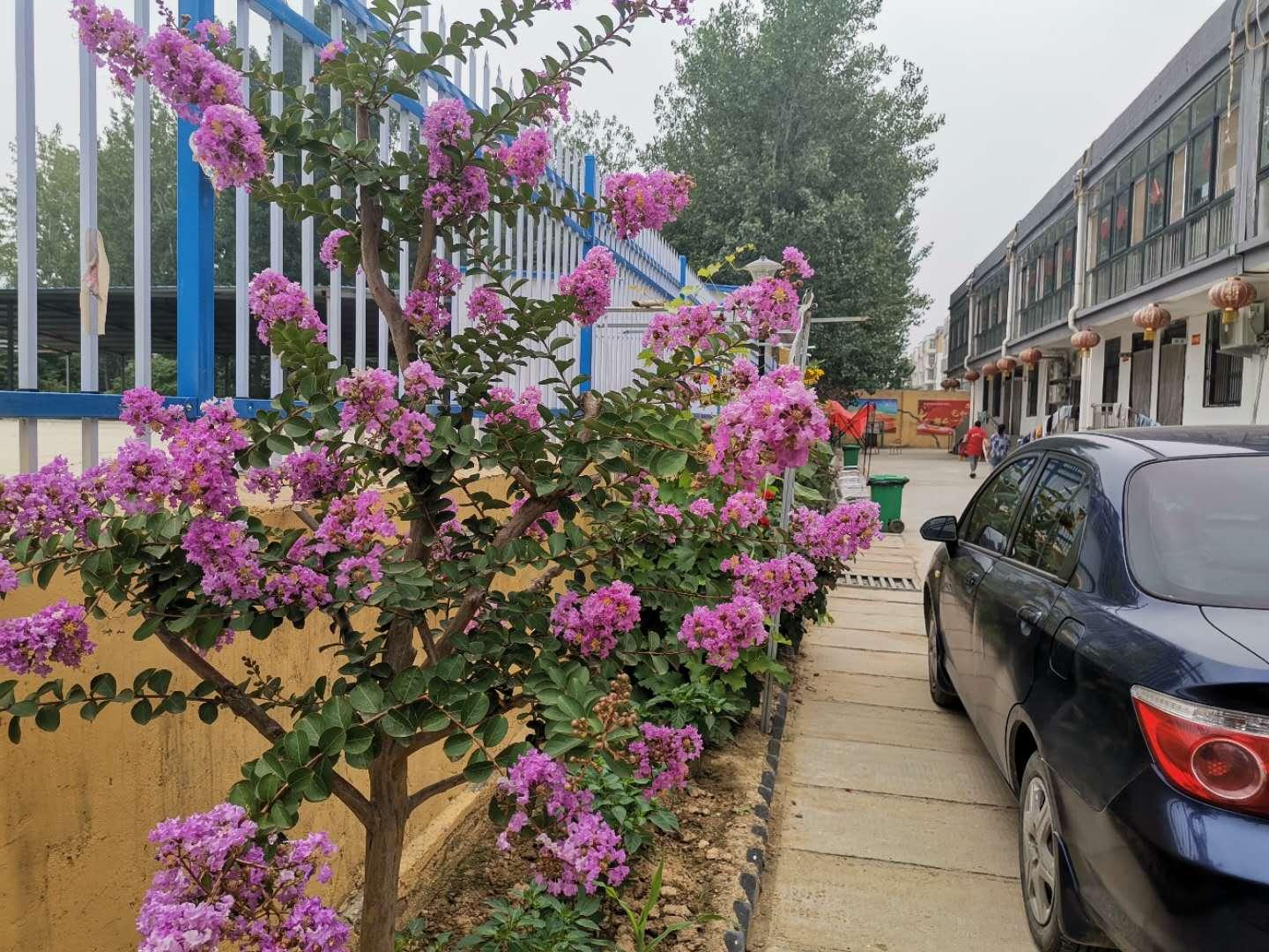 牡丹区棚改最新动态，自信与成就感的蜕变