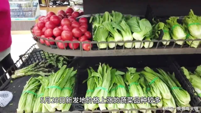 最新新发地蔬菜价格表，全面洞悉蔬菜市场行情