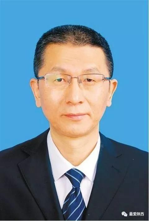 临沂市左沛廷新任职位揭晓，城市发展的温馨序曲