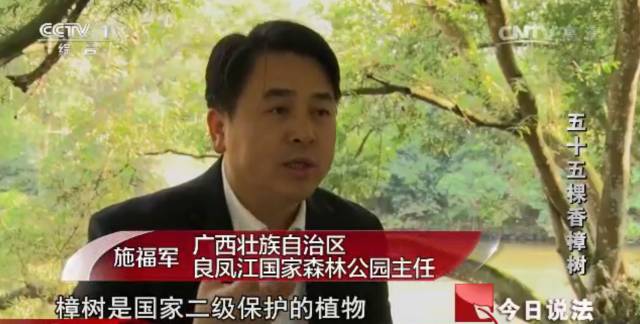 央视今日说法最新一期，变化中的学习，自信与成就的力量之探讨