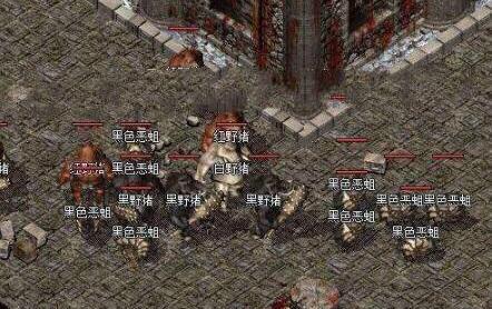 用武之地最新一期回放，热血沸腾的战斗瞬间重现