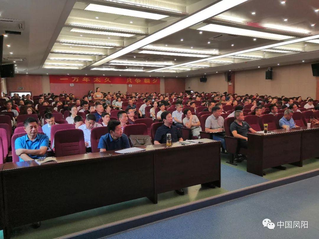 凤阳新城区的科技前沿新生活体验最新消息速递
