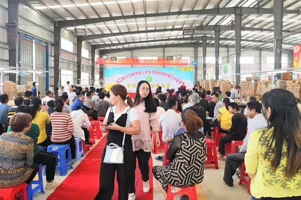 湛江市赤坎区最新招聘信息与职业机会探索