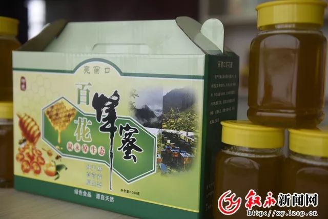 最新青霉素，小巷深处的神秘宝藏探索