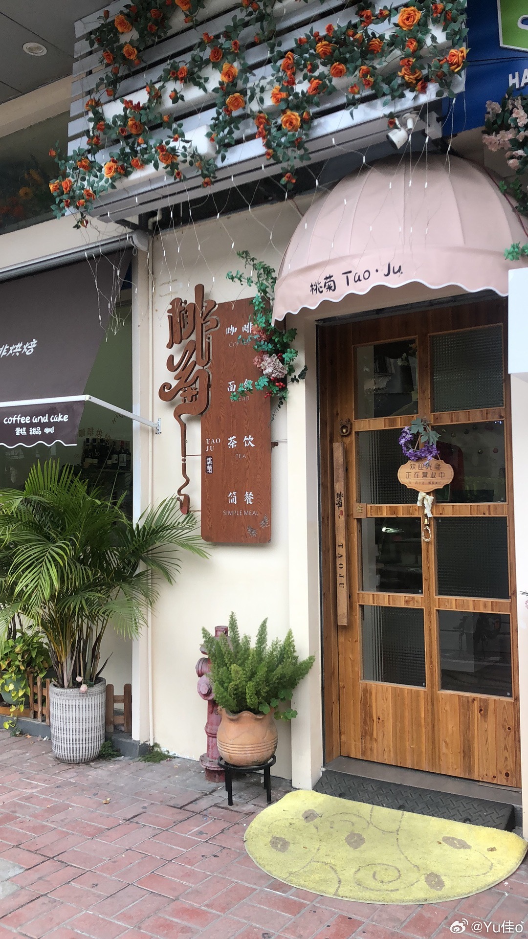 巷弄深处的独特小店，闲聊最新进展