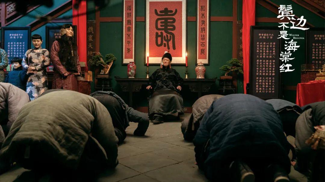 时代之光下的温情力量最新数据揭秘
